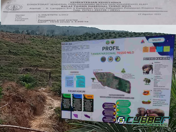 Aktivis Lingkungan Sorot Penegasan Lahan Akasia PT RAPP Overlap di TNTN Seluas 3000 Ha